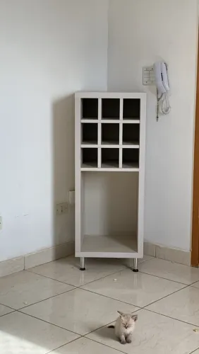 Adega de vinho/ móvel salão