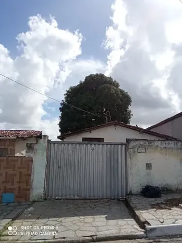 Poda de árvores ? limpeza de coqueiros *
