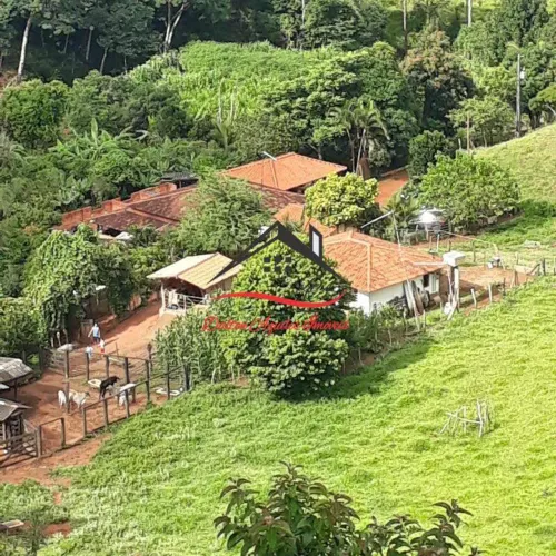 Fazenda para Venda em São Tomaz no Município de Carmésia/MG.