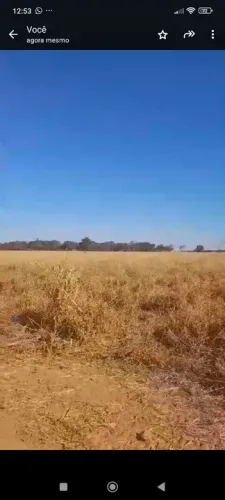 Fazenda em Goiás, região de São Simão, 323alq. Planta 304 R$: 80milhões.
