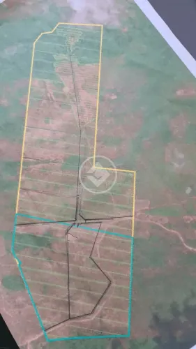 Fazenda, sentido cacéres, porteira fechada, com 35 vacas, 2 éguas, trator 265 com lamina,