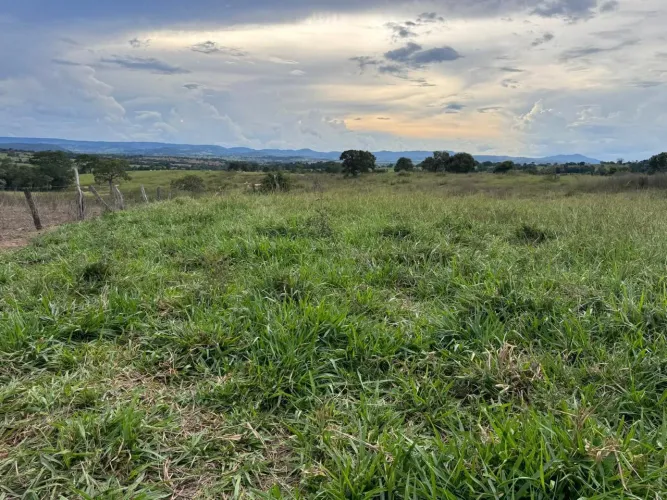 Fazenda 22 alq. Em sancrerlandia Goiás, 250.000 por aqueires