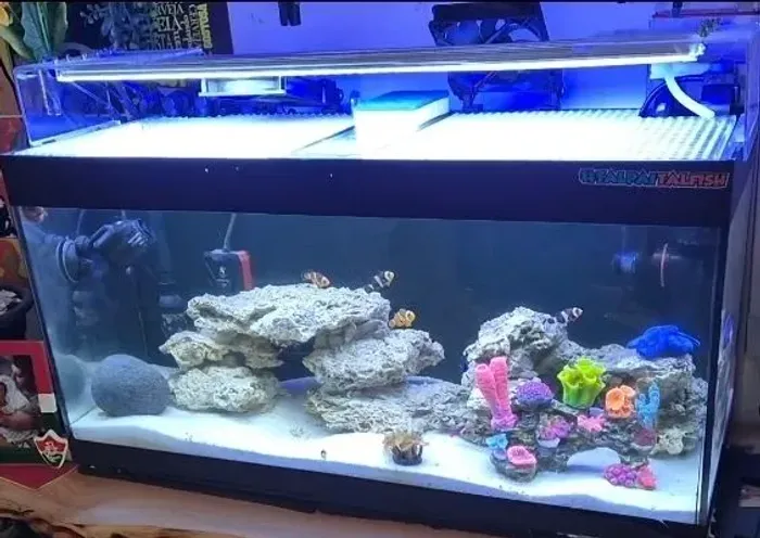 Aquario 100 L, iluminação e canister uv 3000L/h e termostato digital de 100w