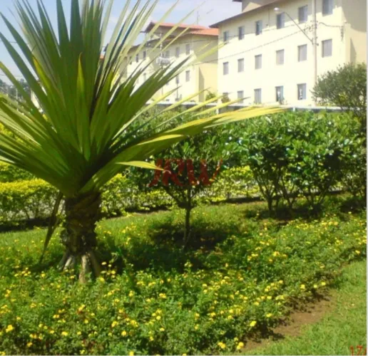 Apartamento Condomínio Vilaggio Azaléia - Indaiatuba SP