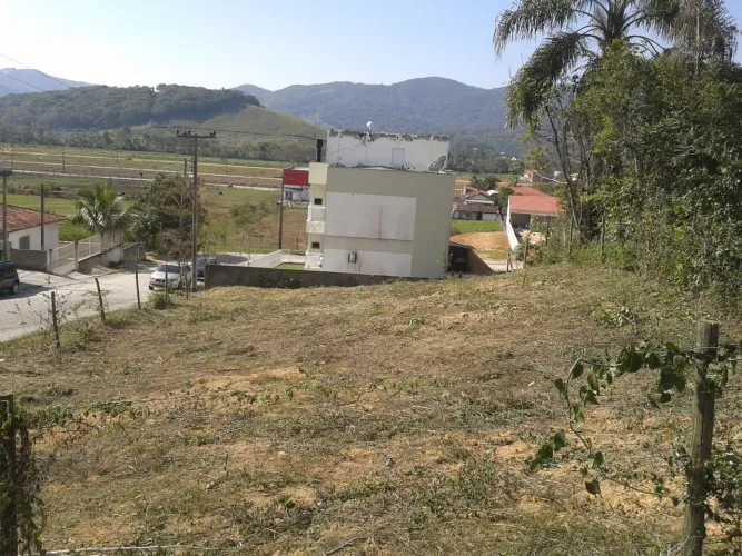 Serviço com roçadeira profissional Santo Amaro da Imperatriz