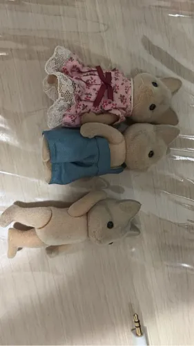 pedido cervo