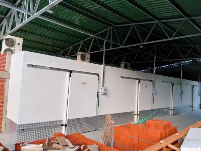 Câmara Fria Direto da Fábrica | Produção Própria | Melhor Preço