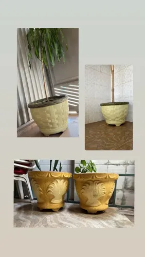 Vasos de planta