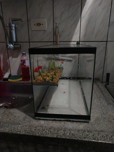 Aquaterrario/Aquário