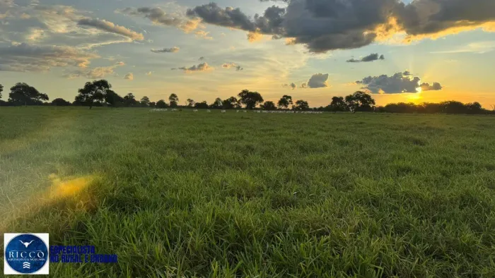Fazenda à Venda em Aruanã - Goiás | 371 Alqueires | Para Pecuária