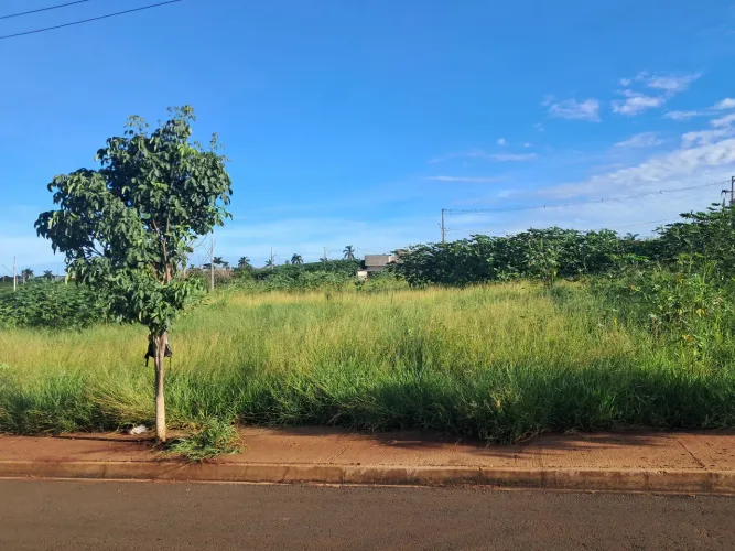 Aceito proposta Direito de Terreno pego parte carro e dinheiro