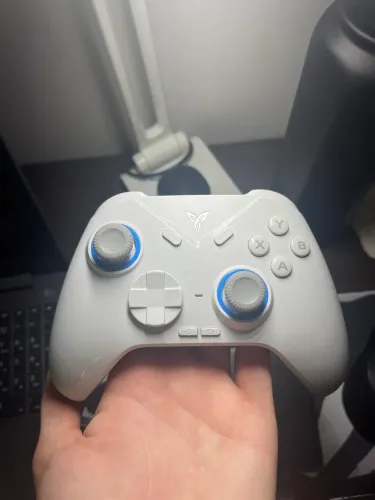 Controle Flydigi Direwolf 2