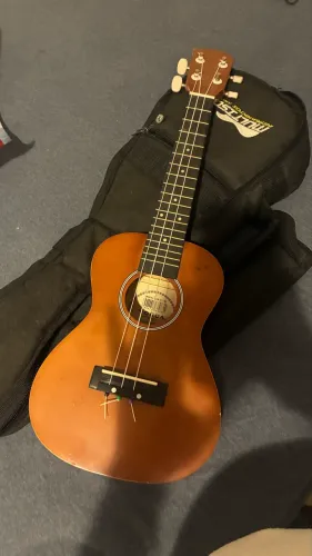 Vendo ukulele