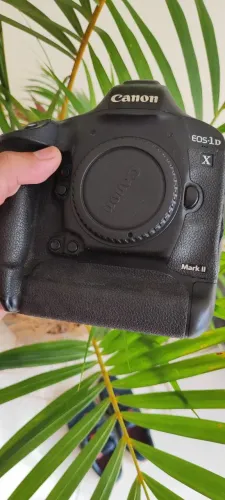 CANON 1DX MARKII