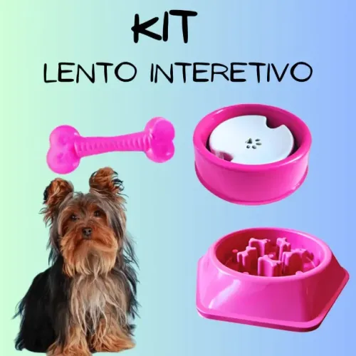 Comedouro lento e Bebedouro para animais.