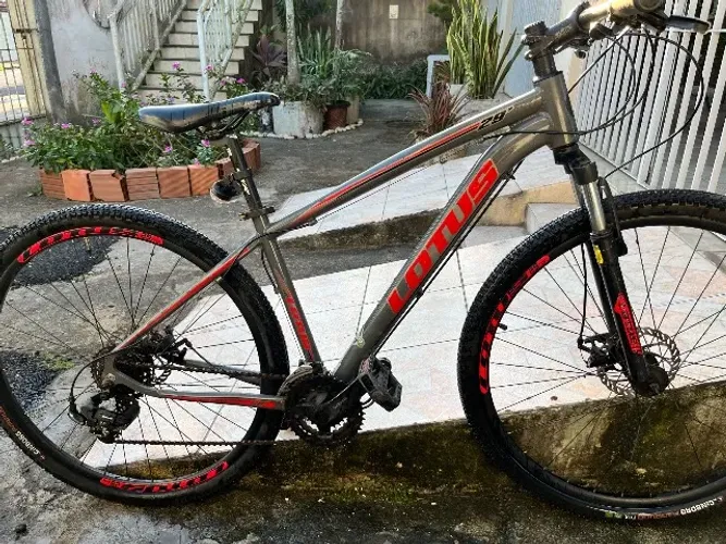 Bicicleta