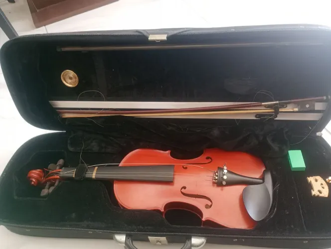 Violino ?