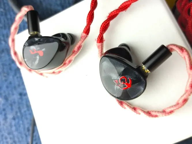 FATFREQ HBB DEUCE + Case TRN