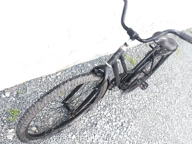 Bicicleta wendy