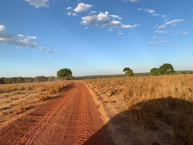 Fazenda a venda entre Formoso do Araguaia e Gurupi - Tocantins !!!!