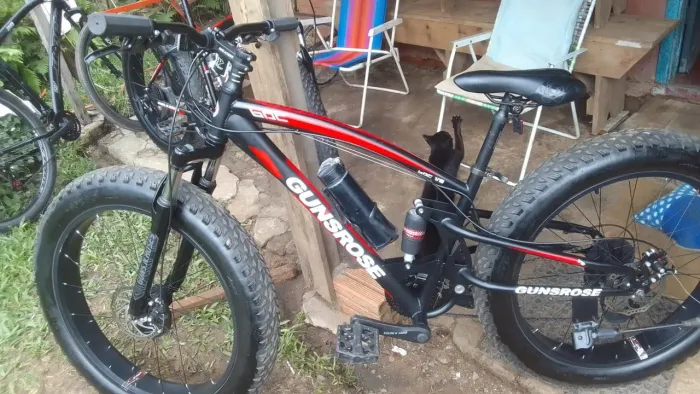 Bicicleta fat bike
