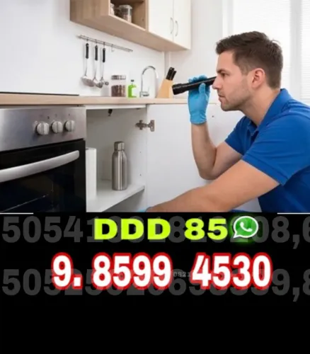 Dedetização Completa com Orçamento Rápido e Excelente Custo-Benefício