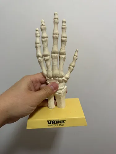 Articulação de resina