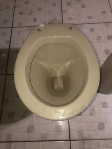 Vaso sanitário convencional