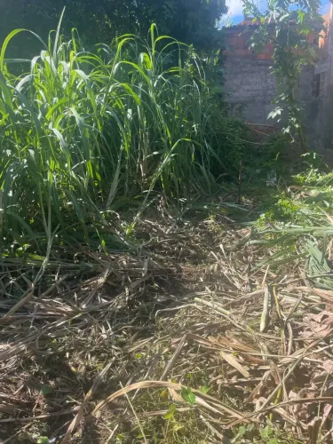 terreno Conceição Vera Cruz