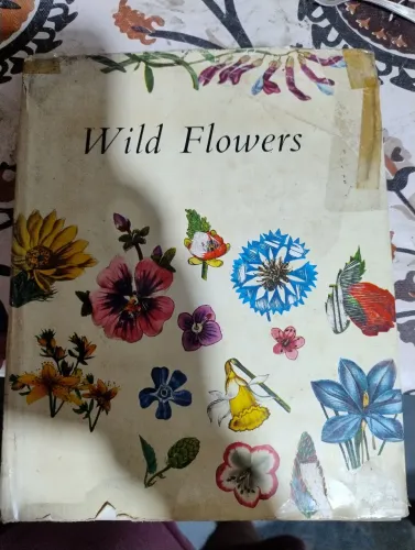 Wild flowers