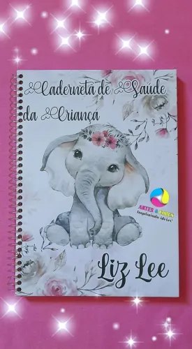 CADERNETA DE SAÚDE E CARTÃO DO SUS 