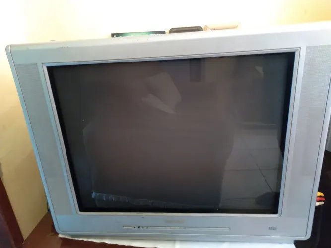 Televisão