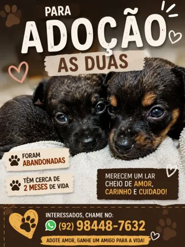 Doação de Filhotes SRD