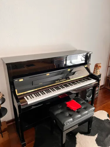Piano FD116 premium Fritz Dobbert