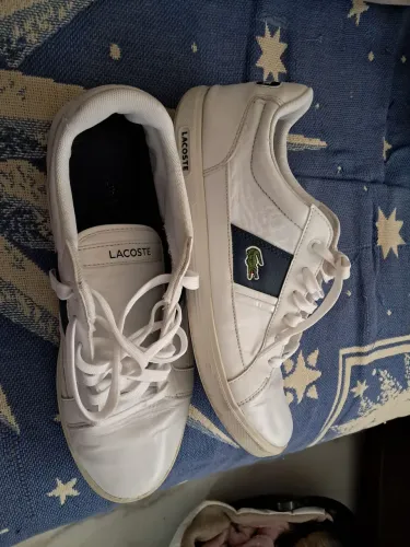 Tênis lacoste original n.42