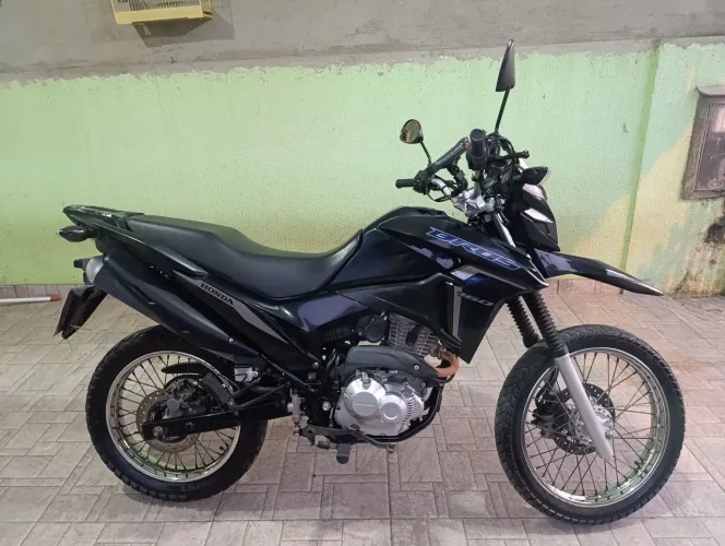 Bross esdd 2024