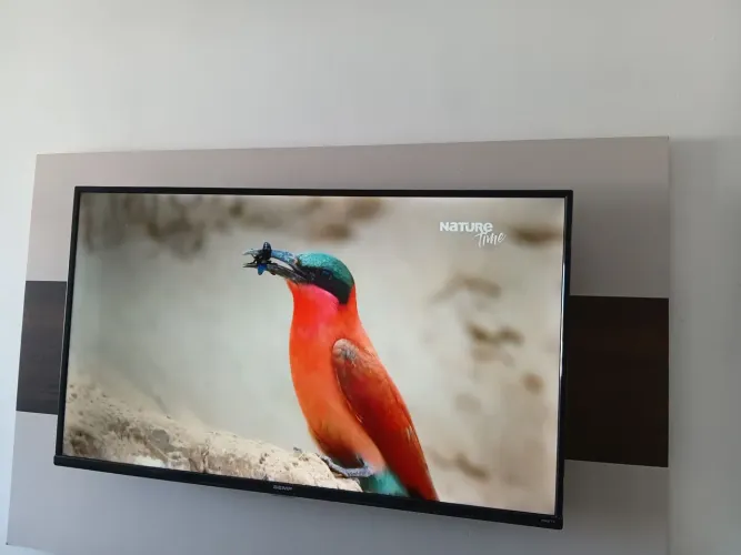 Vendo TV smart 43 polegadas
