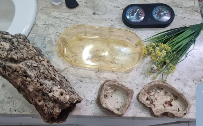 Acessórios para terrario (repteis)