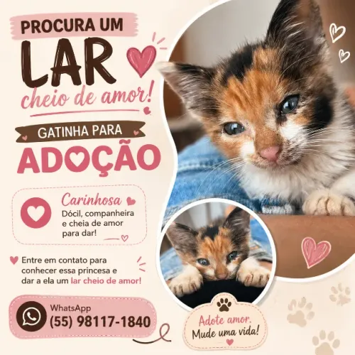 ADOÇÃO GATINHA