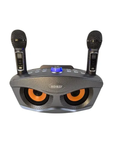 Caixa De Som Bluetooth Karaokê Sdrd C 2 Microfones Cinza 7.4v (Usado)
