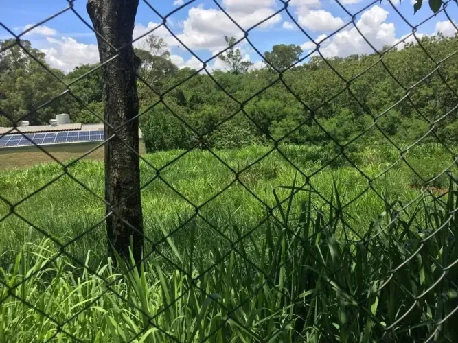 Leilão | Terreno para venda possui 780 m² em São Francisco - Belo Horizonte - MG