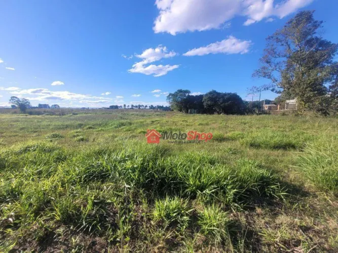 Terreno Loteamento Cidade Universitária