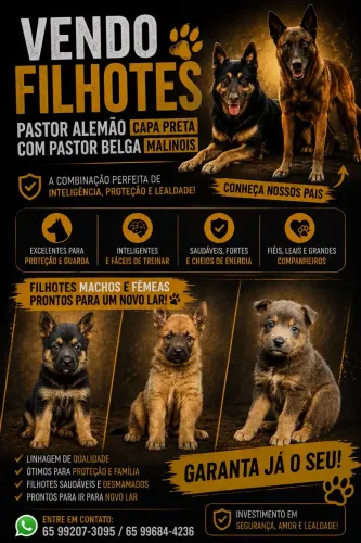 Pastor Alemão
