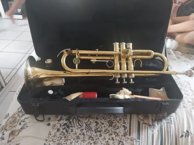 Trompete Dolphin Tradicional Dourado + Case Original