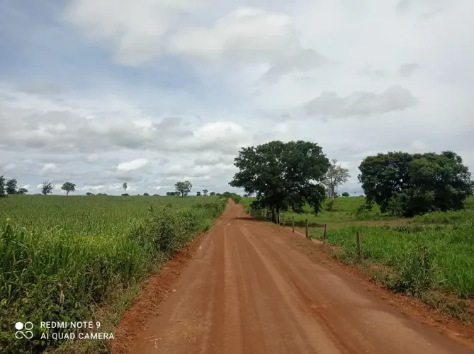 VENDO FAZENDA SITUADA NO MUNICÍPIO DE FLORES DE GOIÁS COM AREA TOTAL DE: 2.400 Alqueires 1