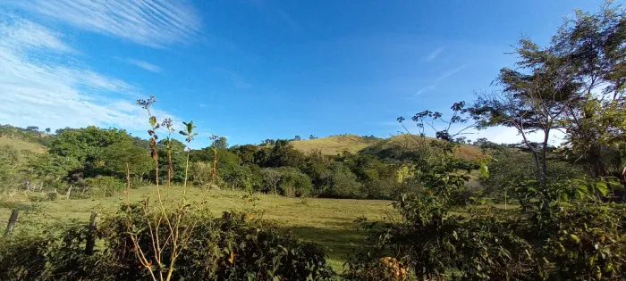 Ótimo sítio venda em São João Nepomuceno MG.30 hecteres