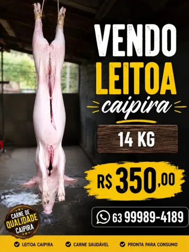 Leitoa caipira 14 kg