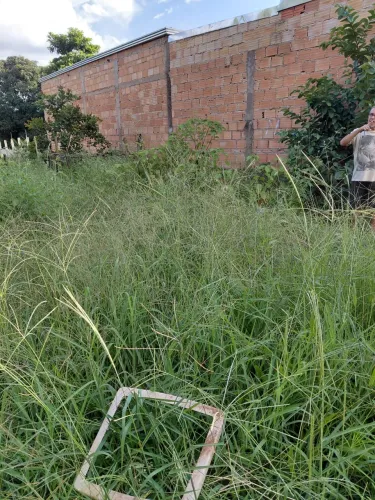 Terreno Morada Nova