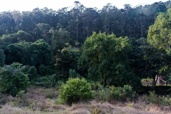 Área à venda, 15631 m² por R$ 10.000.000,00 - Capela - Vinhedo/SP