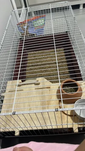 Gaiola para coelhos
